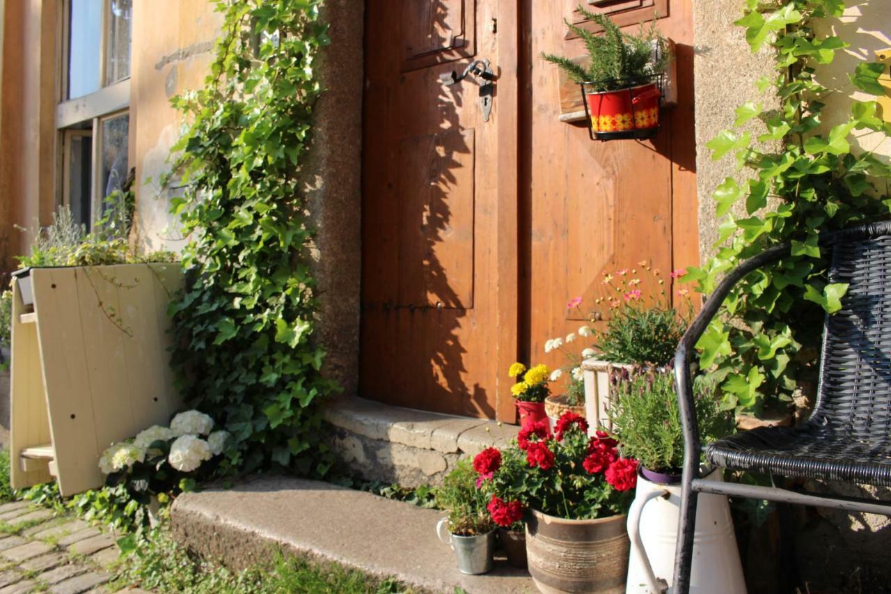 Lazy River Hostel Локет Екстериор снимка